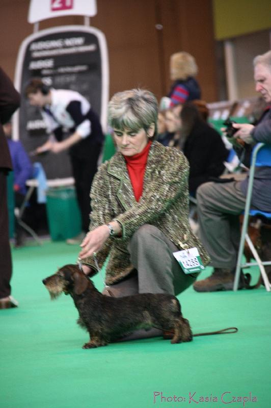 Crufts2011_2 789.jpg